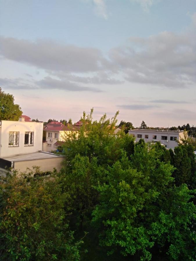 La Madriguera Panzió Raszyn Kültér fotó