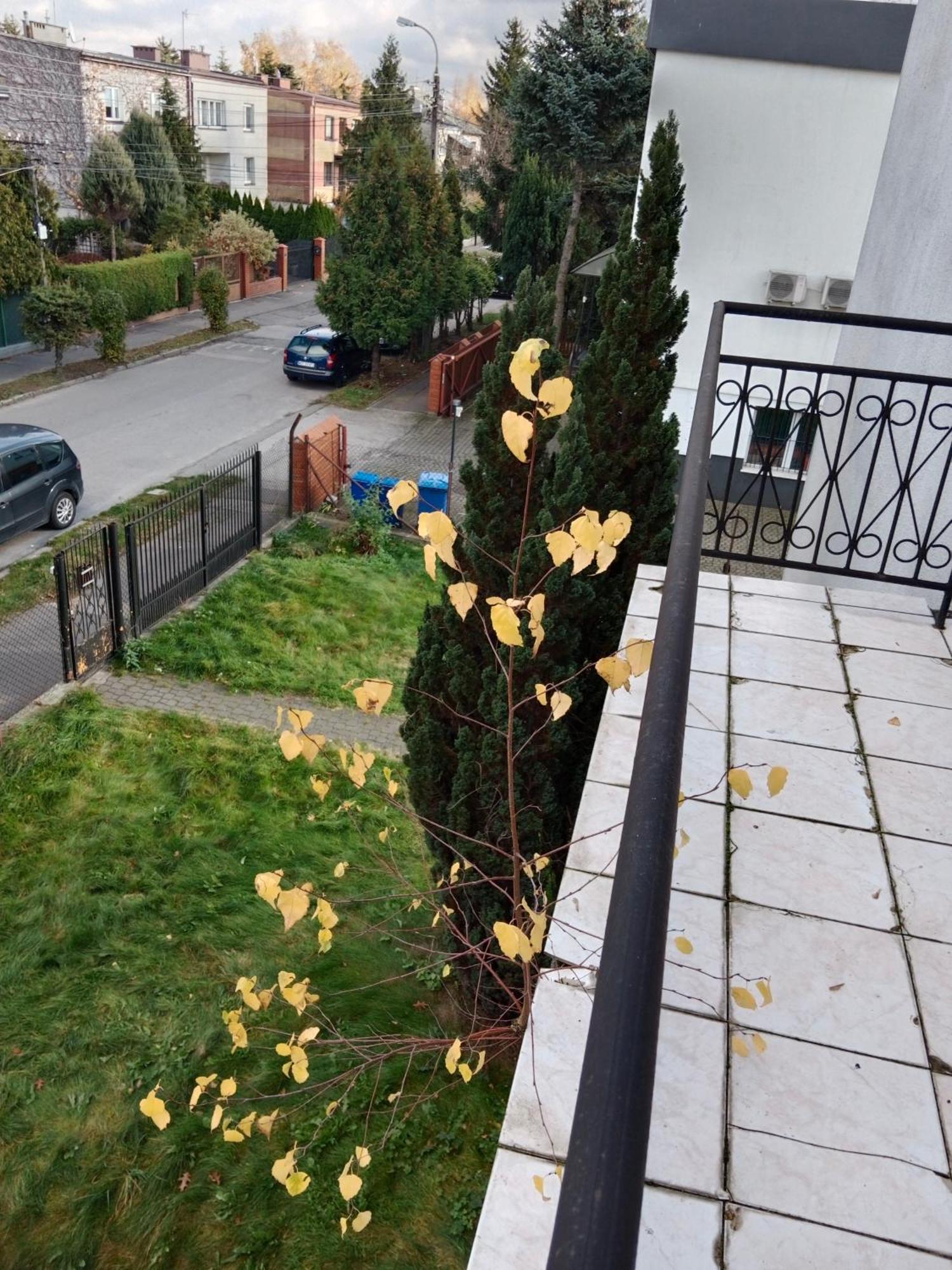 La Madriguera Panzió Raszyn Kültér fotó